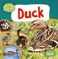 Cover image for Duck