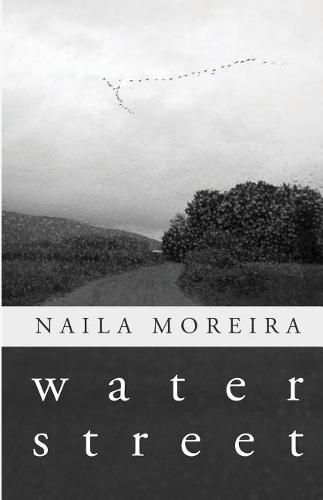 Cover image for Water Street