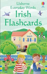 Cover image for Everyday Words: Irish Flashcards