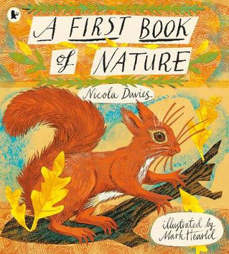 Cover image for A First Book of Nature
