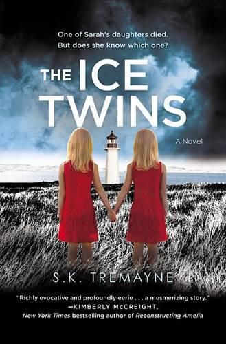 Cover image for The Ice Twins