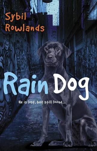 Cover image for Rain Dog: he Is Lost But Still Loved