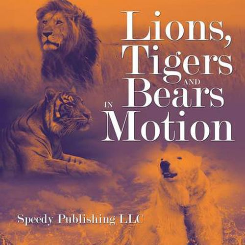 Lions, Tigers And Bears In Motion