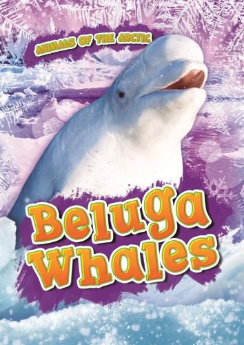 Cover image for Beluga Whales
