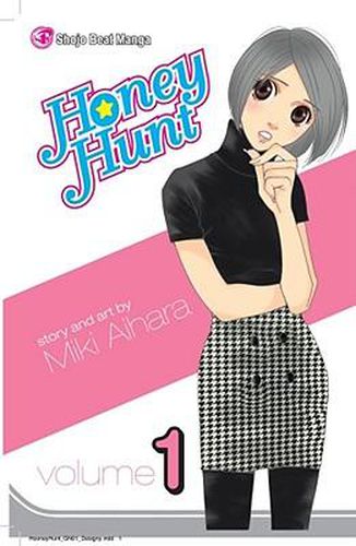 Cover image for Honey Hunt, Vol. 1