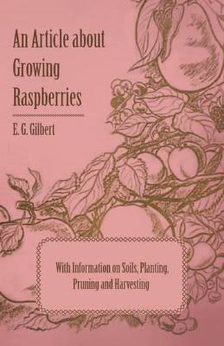 Cover image for An Article About Growing Raspberries with Information on Soils, Planting, Pruning and Harvesting