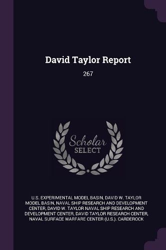 Cover image for David Taylor Report