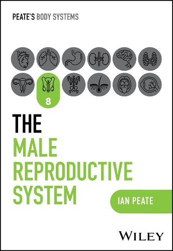 Cover image for The Male Reproductive System