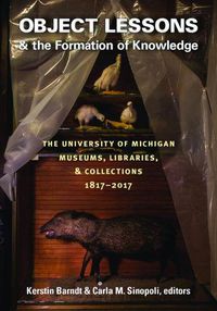 Cover image for Object Lessons and the Formation of Knowledge: The University of Michigan Museums, Libraries, and Collections 1817-2017