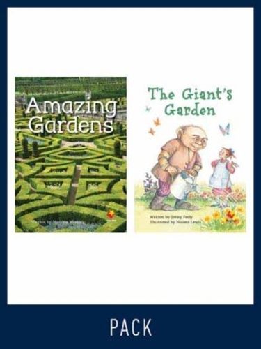 Cover image for Flying Start Guided Reading Level 19, Pack 3: Paired student books (6x6) and lesson plan (1)