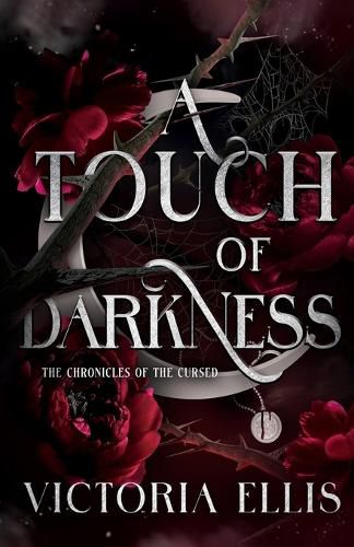 Cover image for A Touch of Darkness