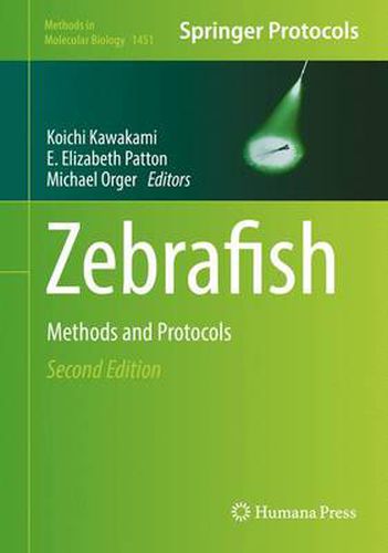 Cover image for Zebrafish: Methods and Protocols