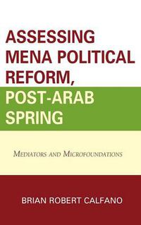 Cover image for Assessing MENA Political Reform, Post-Arab Spring: Mediators and Microfoundations