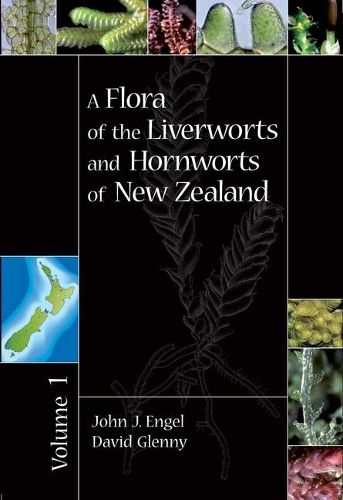 Cover image for A Flora of the Liverworts and Hornworts of New Zealand
