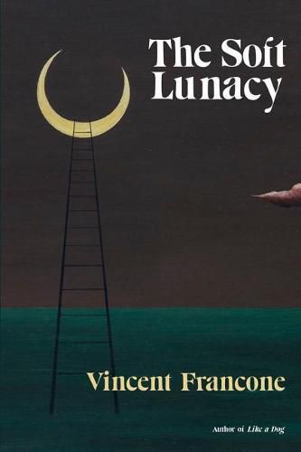 Cover image for The Soft Lunacy: Episodes of Literary Obsession