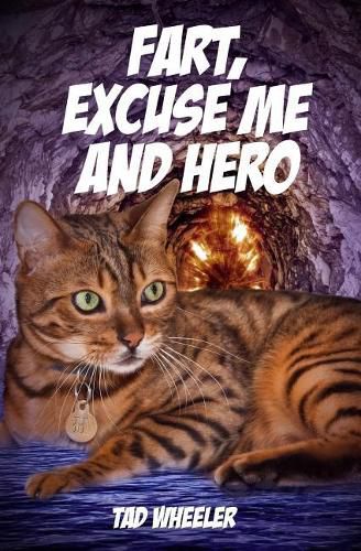 Cover image for Fart, Excuse Me and Hero: Hero Saves The President And Excuse Me Charges The Enemy