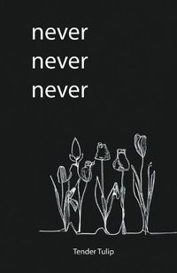 Cover image for Never Never Never