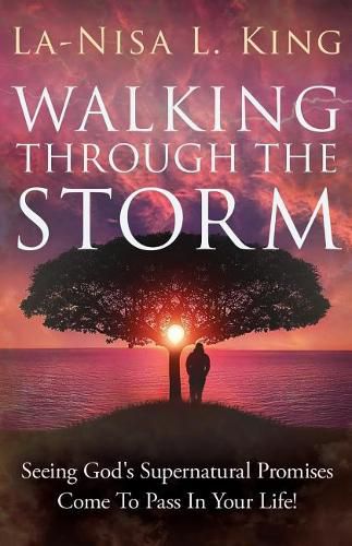 Cover image for Walking Through The Storm: Seeing God's Supernatural Promises Come To Pass In Your Life!