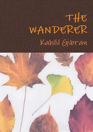 Cover image for The Wanderer