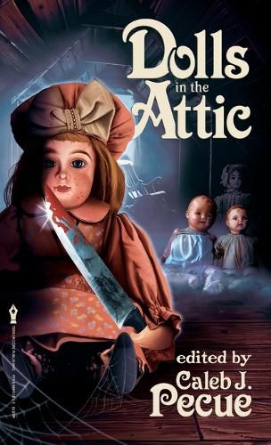 Cover image for Dolls in the Attic