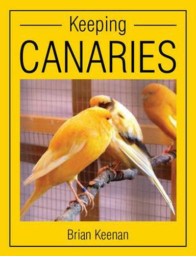 Cover image for Keeping Canaries