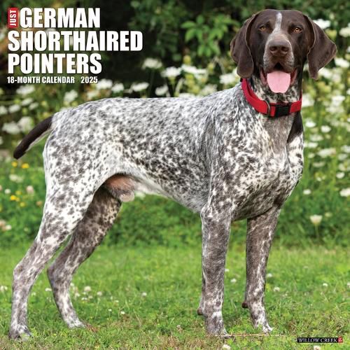German Shorthaired Pointers 2026 12 X 12 Wall Calendar