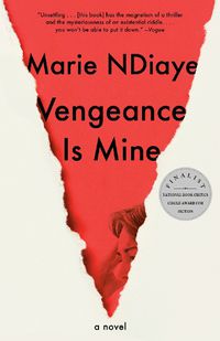 Cover image for Vengeance Is Mine