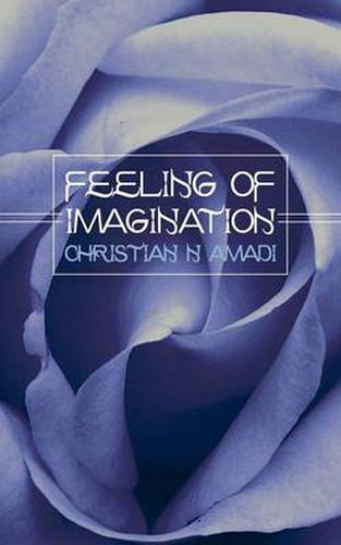 Cover image for Feeling of Imagination