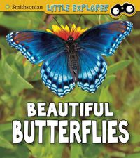 Cover image for Beautiful Butterflies