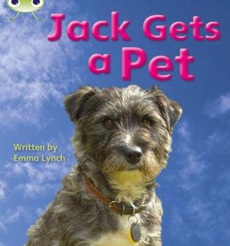 Cover image for Bug Club Phonics Non-fiction Set 06 Jack Gets a Pet