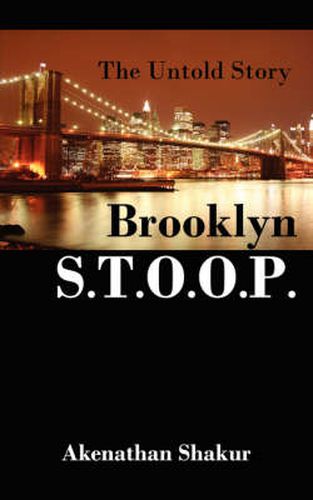 Cover image for Brooklyn S.T.O.O.P.