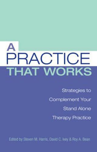 Cover image for A Practice that Works: Strategies to Complement Your Stand Alone Therapy Practice