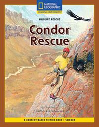 Cover image for Content-Based Chapter Books Fiction (Science: Wildlife Rescue): Condor Rescue