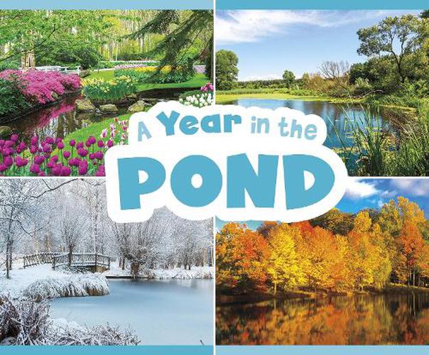 Cover image for A Year in the Pond