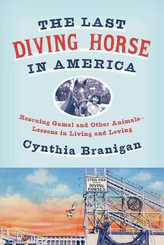 Cover image for The Last Diving Horse in America: Rescuing Gamal and Other Animals--Lessons in Living and Loving