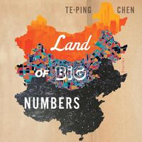 Cover image for Land of Big Numbers: Stories