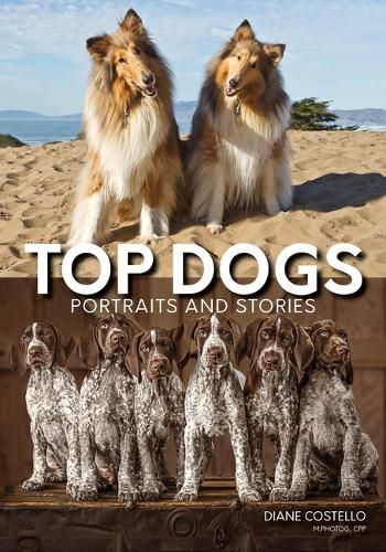 Cover image for Top Dogs: Portraits and Stories