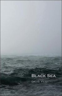 Cover image for Black Sea