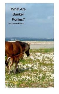 Cover image for What Are Banker Ponies?