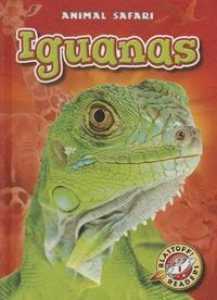 Cover image for Iguanas