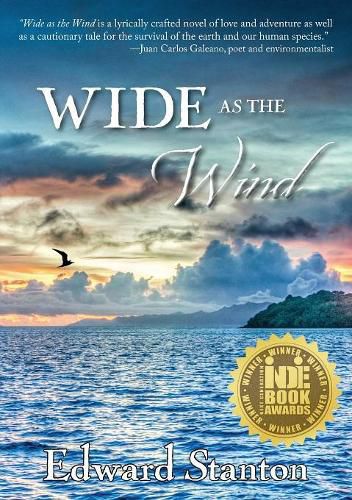 Cover image for Wide as the Wind