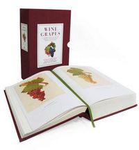 Cover image for Wine Grapes: A Complete Guide to 1,368 Vine Varieties, Including Their Origins and Flavours