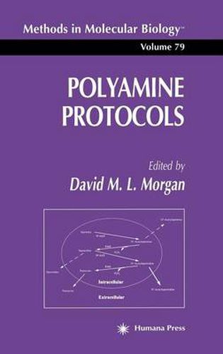 Cover image for Polyamine Protocols