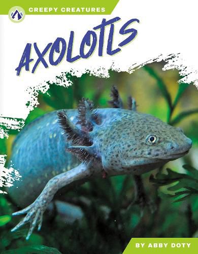 Cover image for Axolotls