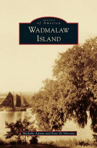 Cover image for Wadmalaw Island