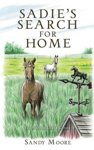 Cover image for Sadie's Search for Home