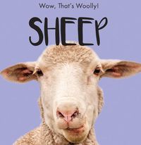 Cover image for Sheep