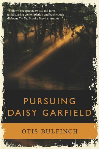 Cover image for Pursuing Daisy Garfield