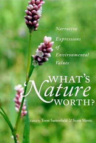Cover image for What's Nature Worth