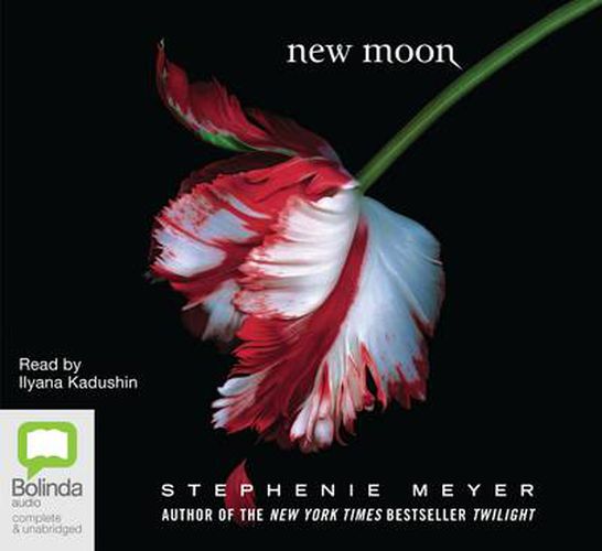 Cover image for New Moon